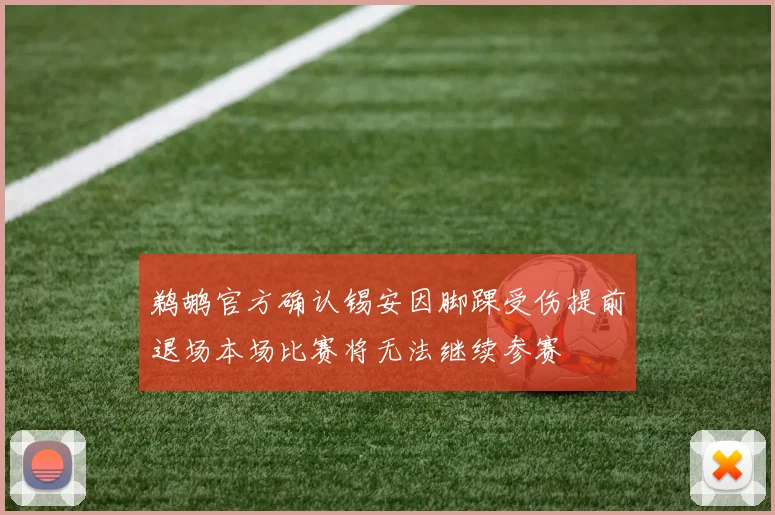 鹈鹕官方确认锡安因脚踝受伤提前退场本场比赛将无法继续参赛