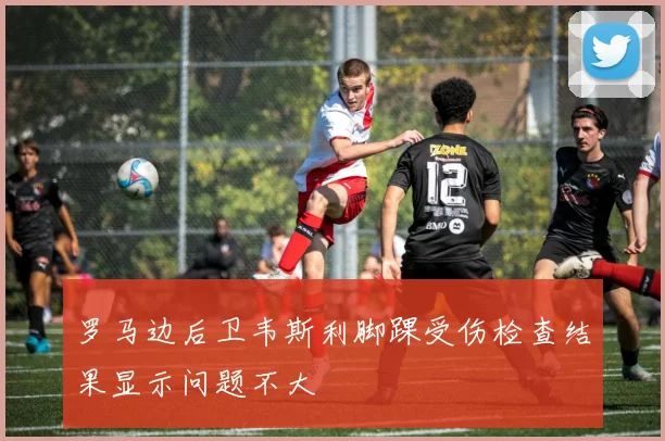 罗马边后卫韦斯利脚踝受伤检查结果显示问题不大